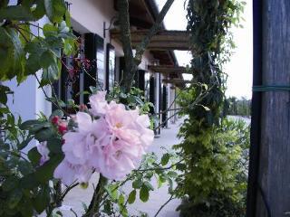 Bauernhof Venicegreen Agriresort *