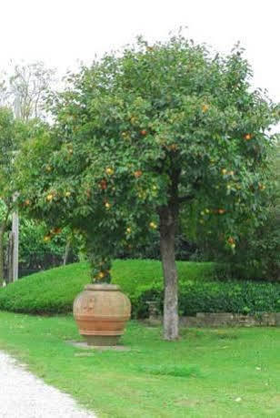 Bauernhof Venicegreen Agriresort *
