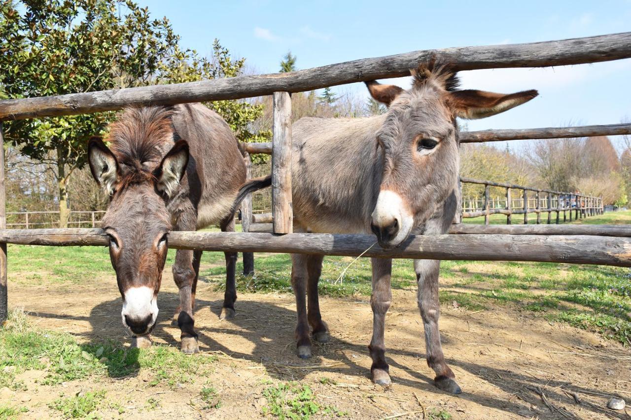 Venicegreen Agriresort Tessera