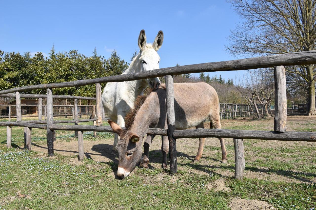 Venicegreen Agriresort Bauernhof Tessera